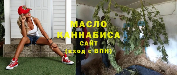 гашик Михайловка